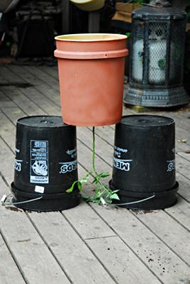 Propping up the bucket to fill with soil